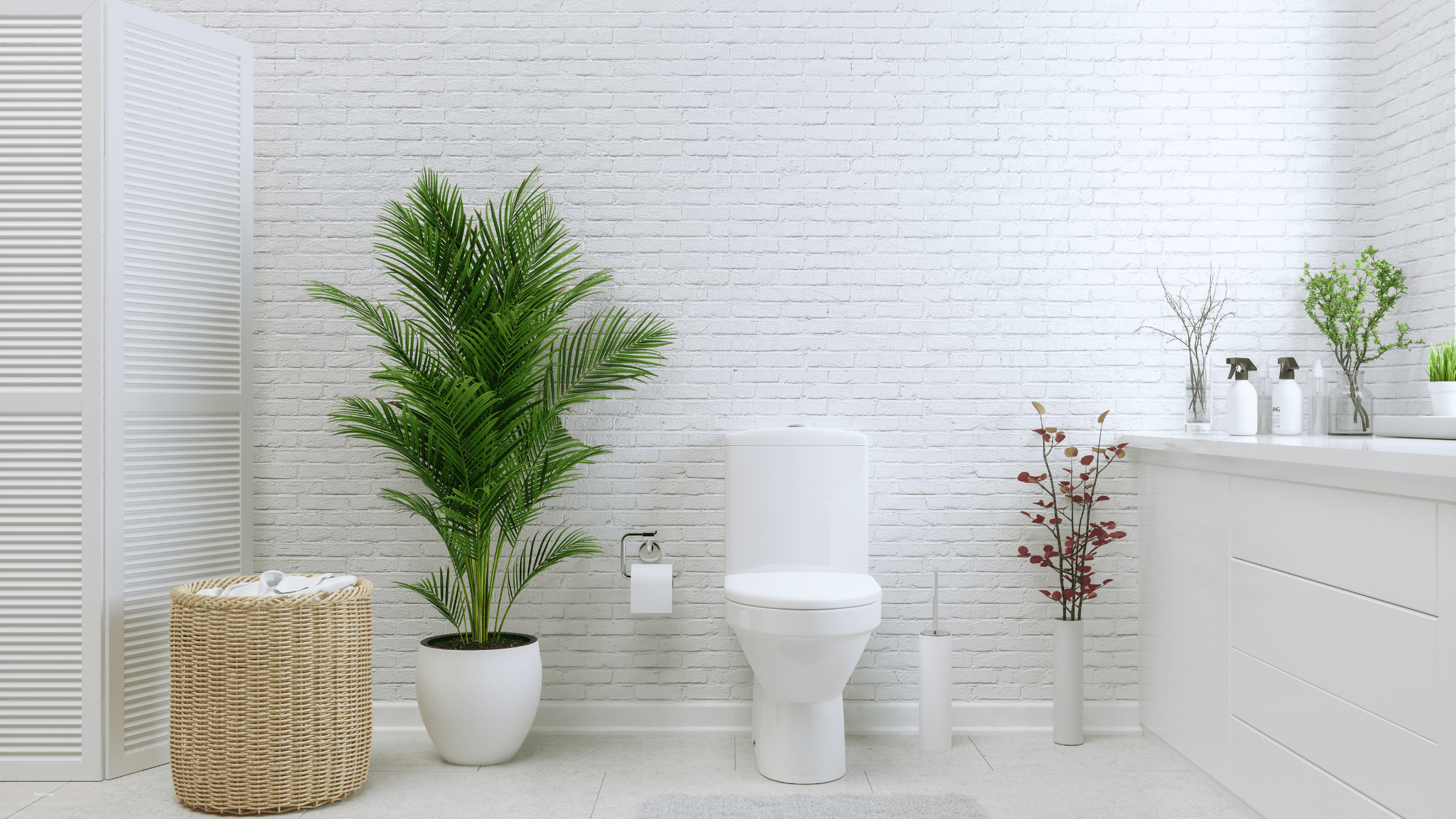 Plumbing[1]